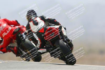 media/Apr-10-2022-SoCal Trackdays (Sun) [[f104b12566]]/Turn 9 Backside (1120am)/